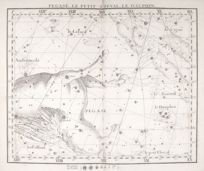 Synastry 101: How to Read Your Partner's Astrological Chart for Better Sex