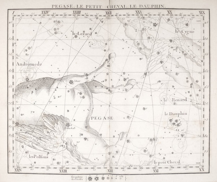 Synastry 101: How to Read Your Partner's Astrological Chart for Better Sex