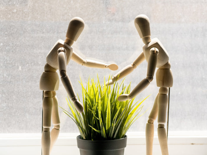 The Chronic Pain Survival Guide for Intimacy and Pleasure