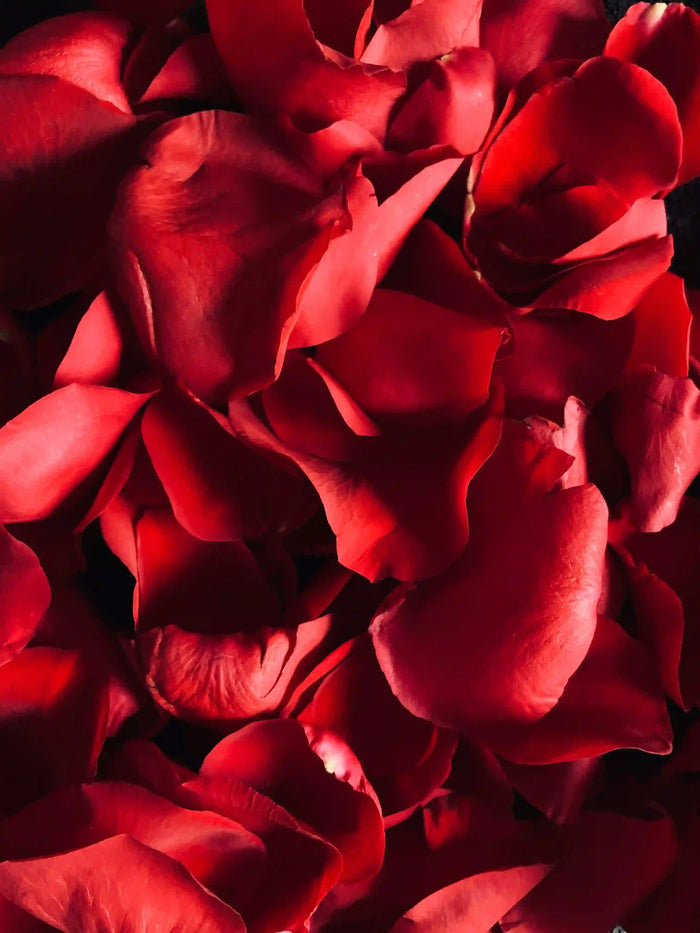 Aries Intimacy: The Thrill-Seeker Who Loves Fast, Bold, and Passionate Play